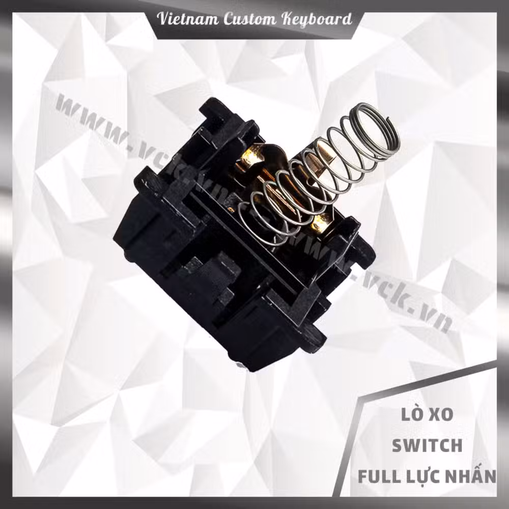 Lò Xo Switch