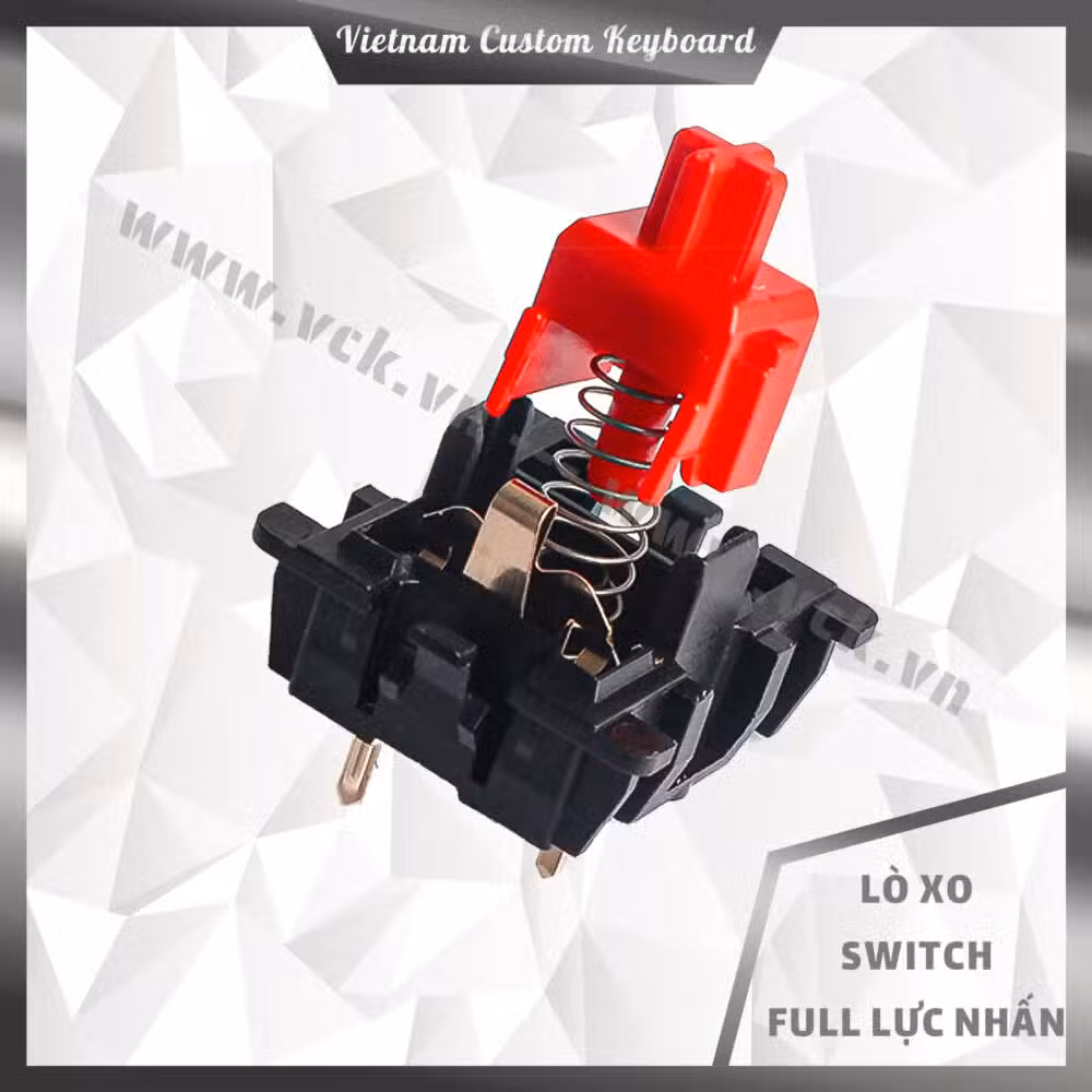 Lò Xo Switch