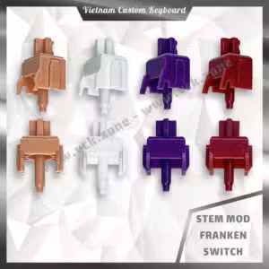 Stem Custom
