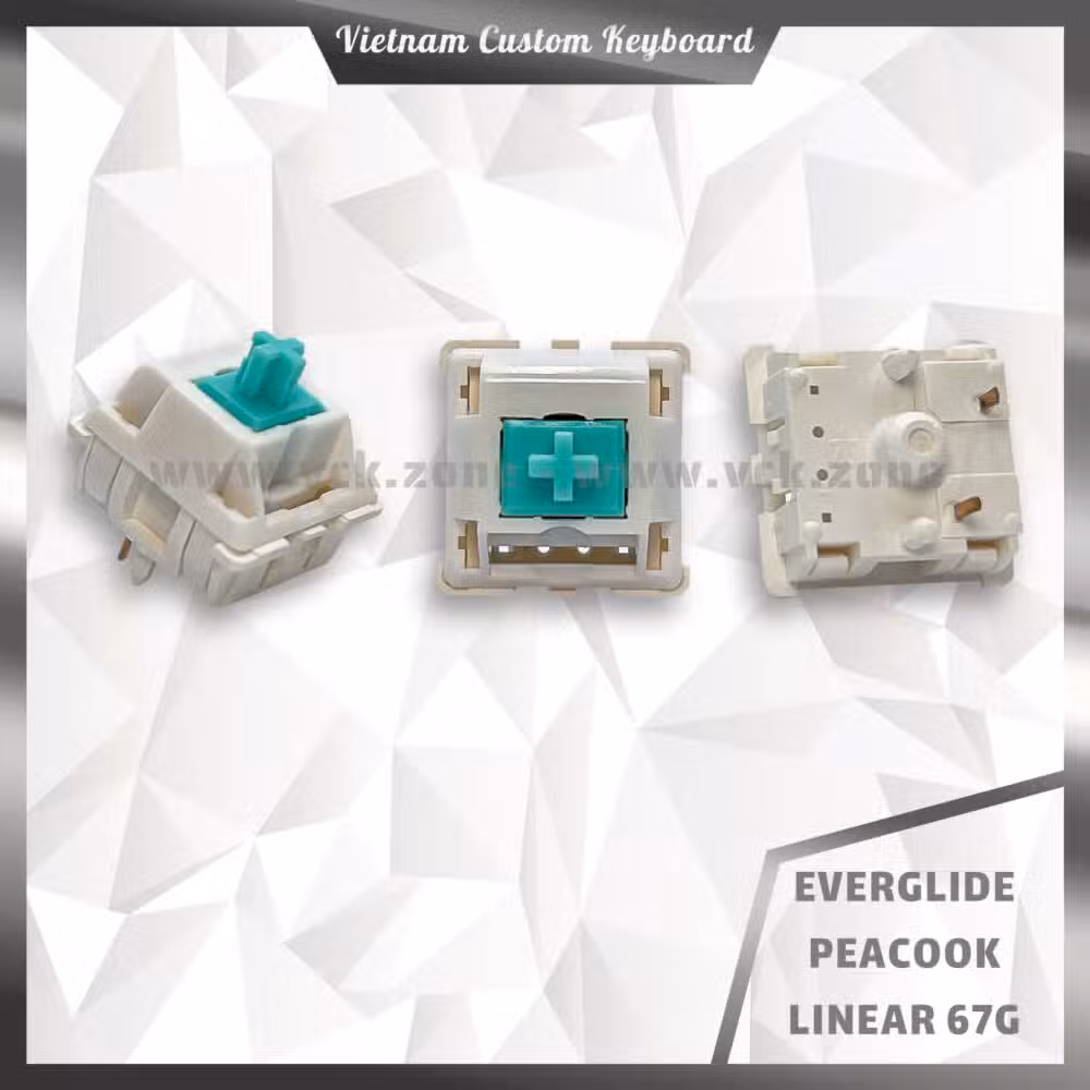 Everglide Peacock
