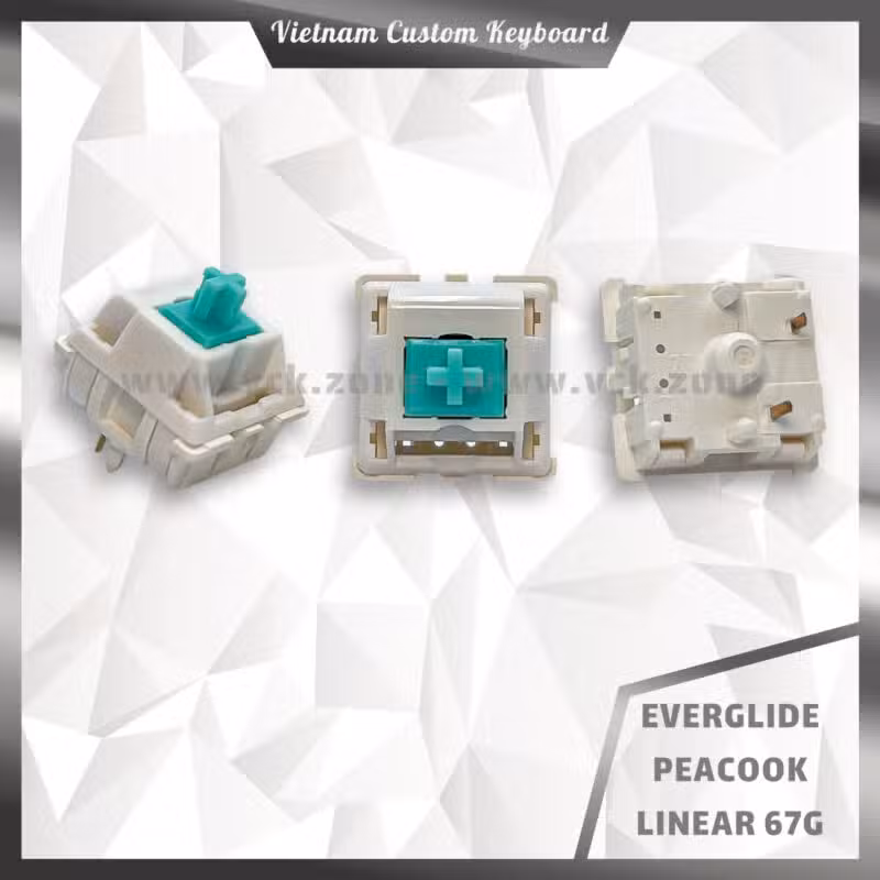 Everglide Peacock