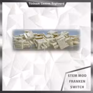 Stem Custom