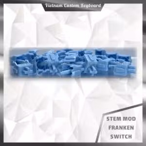 Stem Custom