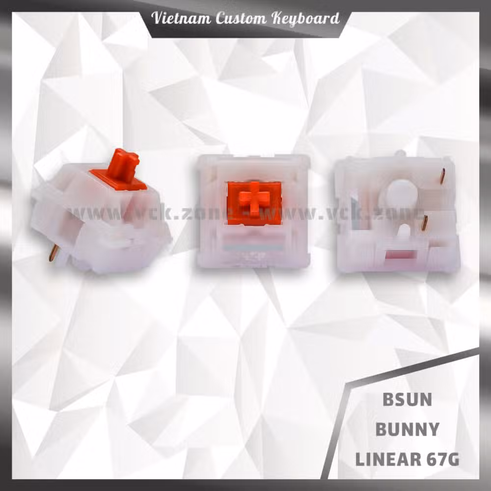 Bsun Bunny