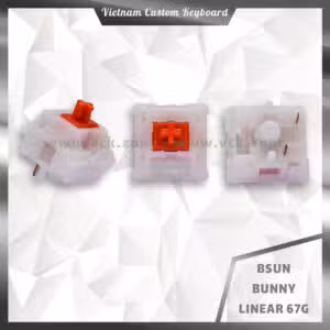 Bsun Bunny