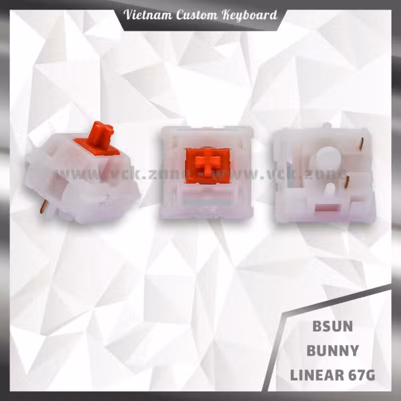 Bsun Bunny