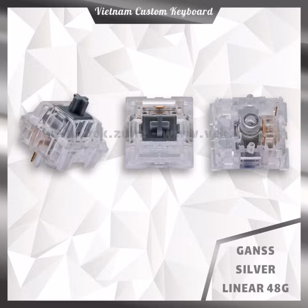 Ganss Silver