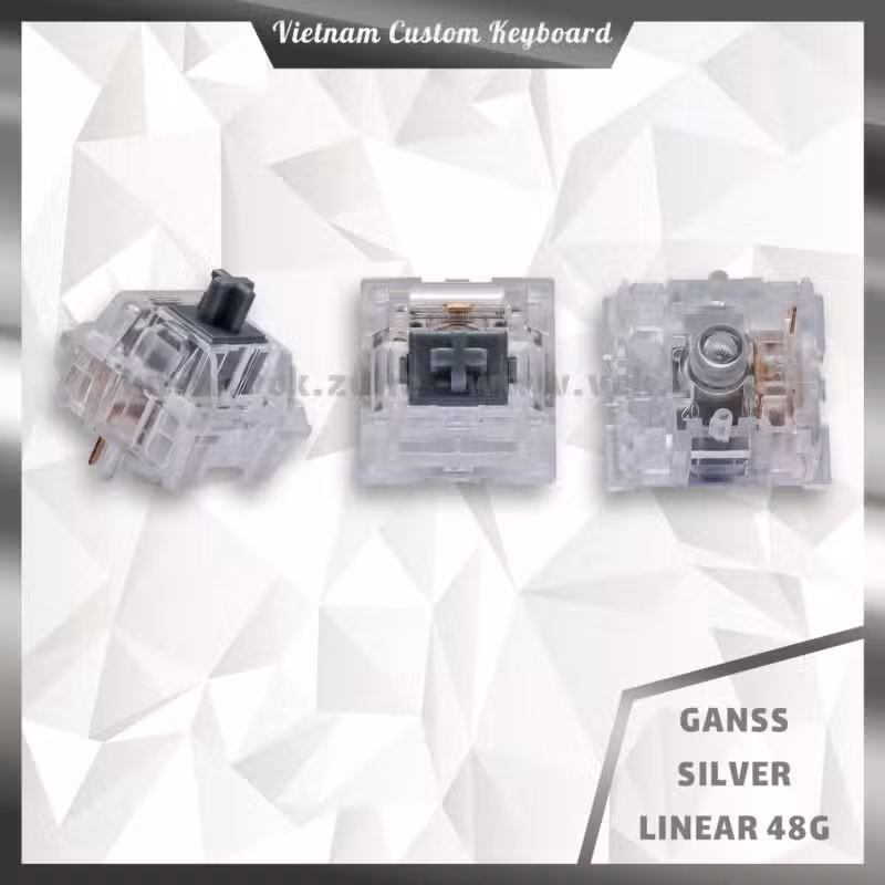 Ganss Silver