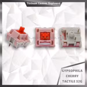 Gypsophila Switches