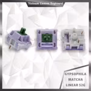 Gypsophila Switches