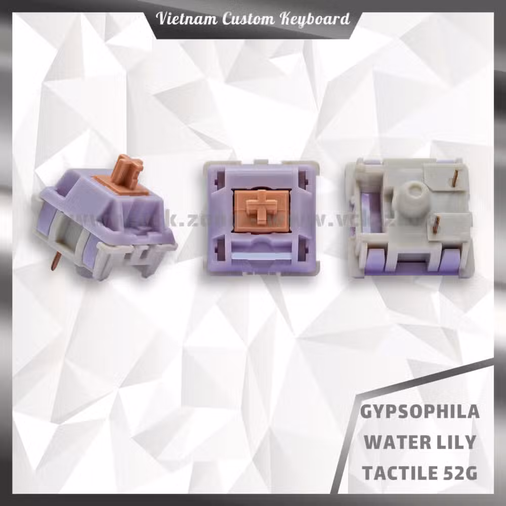 Gypsophila Switches