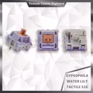 Gypsophila Switches