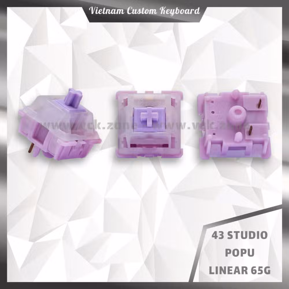 43 Studio Popu