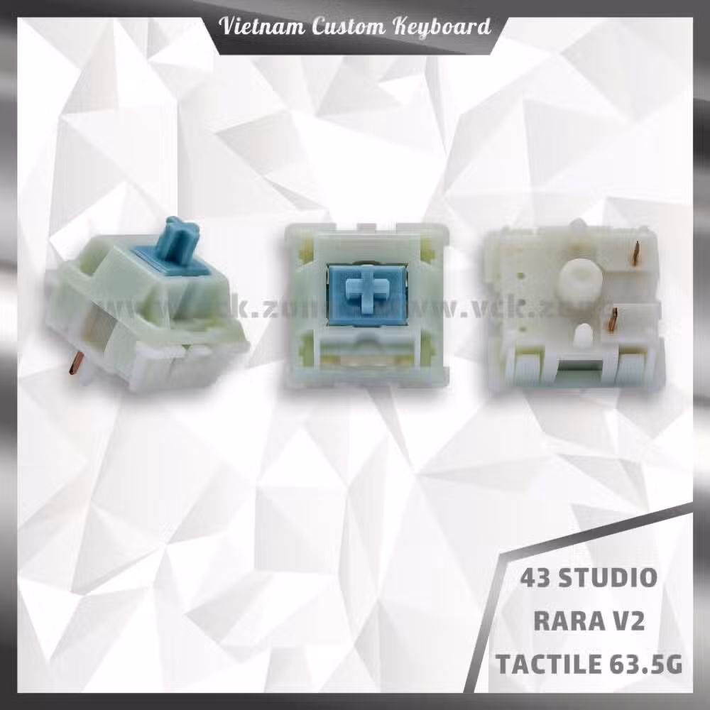 43 Studio Rara V2