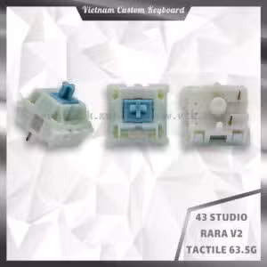 43 Studio Rara V2
